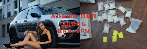 МДПВ Гусев
