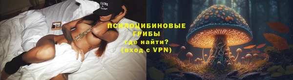 мдпв Вязьма