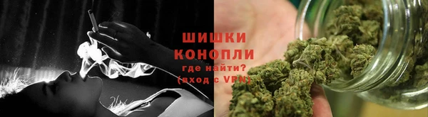 ГАЛЛЮЦИНОГЕННЫЕ ГРИБЫ Гусиноозёрск