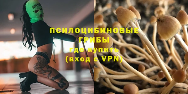 МДПВ Гусев