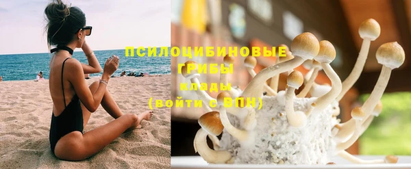 мдпв Вязьма